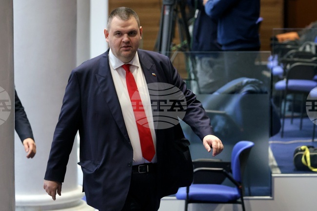 MRF Chair Peevski Targets Electrohold Owner and Regulator Failures, Proposes Moratorium on Electricity Price Hike