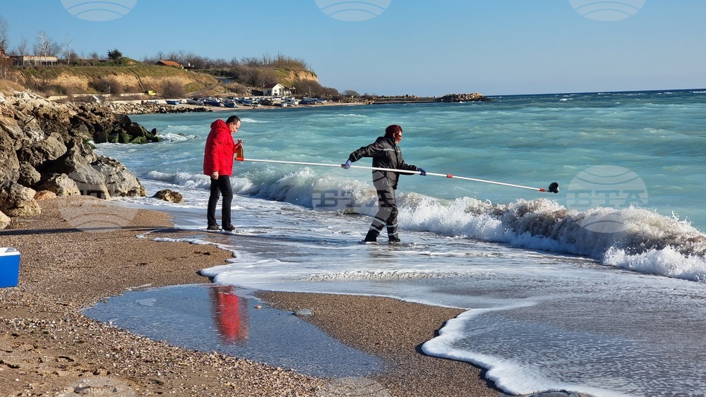 No Direct Pollution Threat in Bulgarian Section of Black Sea - Minister