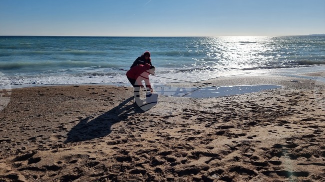 Водолюбиви птици са открити мъртви по крайбрежието на Шабла