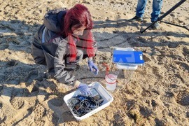 Дуранкулак - морска вода - проби