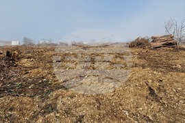 Стара Загора - залесяване - Радостин Танев