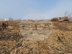 Стара Загора - залесяване - Радостин Танев