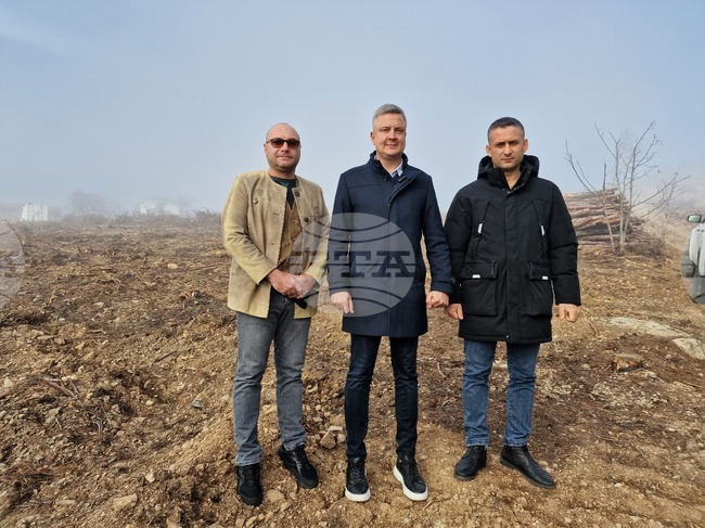 Възстановяват 130 декара гориста местност край Стара Загора, обгоряла при пожар 