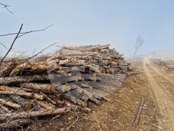Стара Загора - залесяване - Радостин Танев