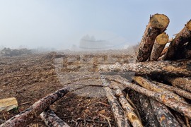 Стара Загора - залесяване - Радостин Танев