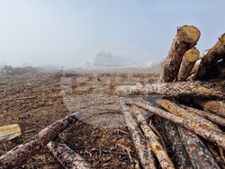 Стара Загора - залесяване - Радостин Танев