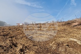 Стара Загора - залесяване - Радостин Танев