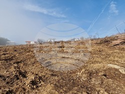 Стара Загора - залесяване - Радостин Танев