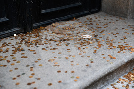 Таксиметрови шофьори  - протест