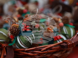 Фермерски фестивал „Моята Еко Коледа"