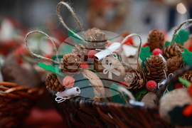 Фермерски фестивал „Моята Еко Коледа"