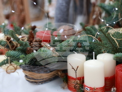 Фермерски фестивал „Моята Еко Коледа"