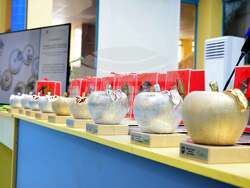 "Ябълка на познанието" беше връчена на деветима учени от Университета по библиотекознание и информационни технологии. Снимка УниБИТ