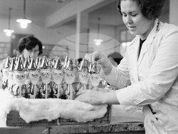 Дейността на ТПК „Искра'' в София  за производство на детски играчки и елхови украшения