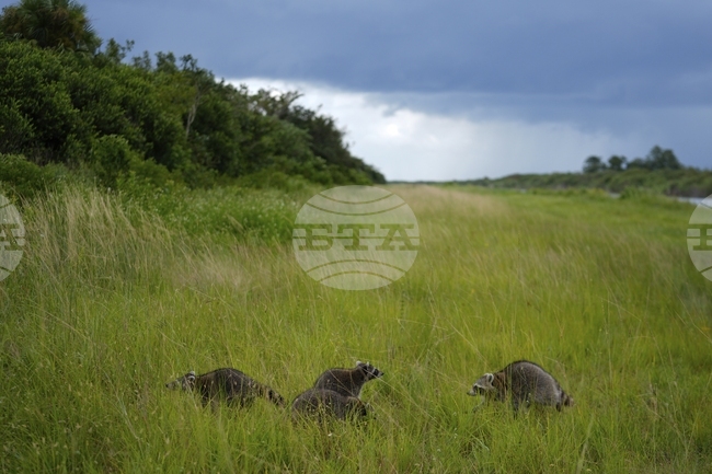 Учени разработиха нов модел за по-целенасочено опазване на околната среда 
