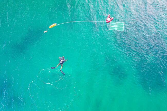 Уникална корабна котва е открита в акваторията на пристанището в Царево, съобщиха от Общината