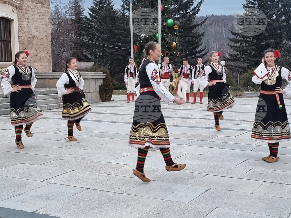 Село Ковачевци - коледна елха - светлини