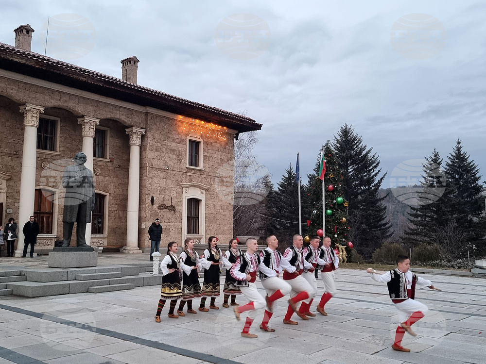 Село Ковачевци - коледна елха - светлини