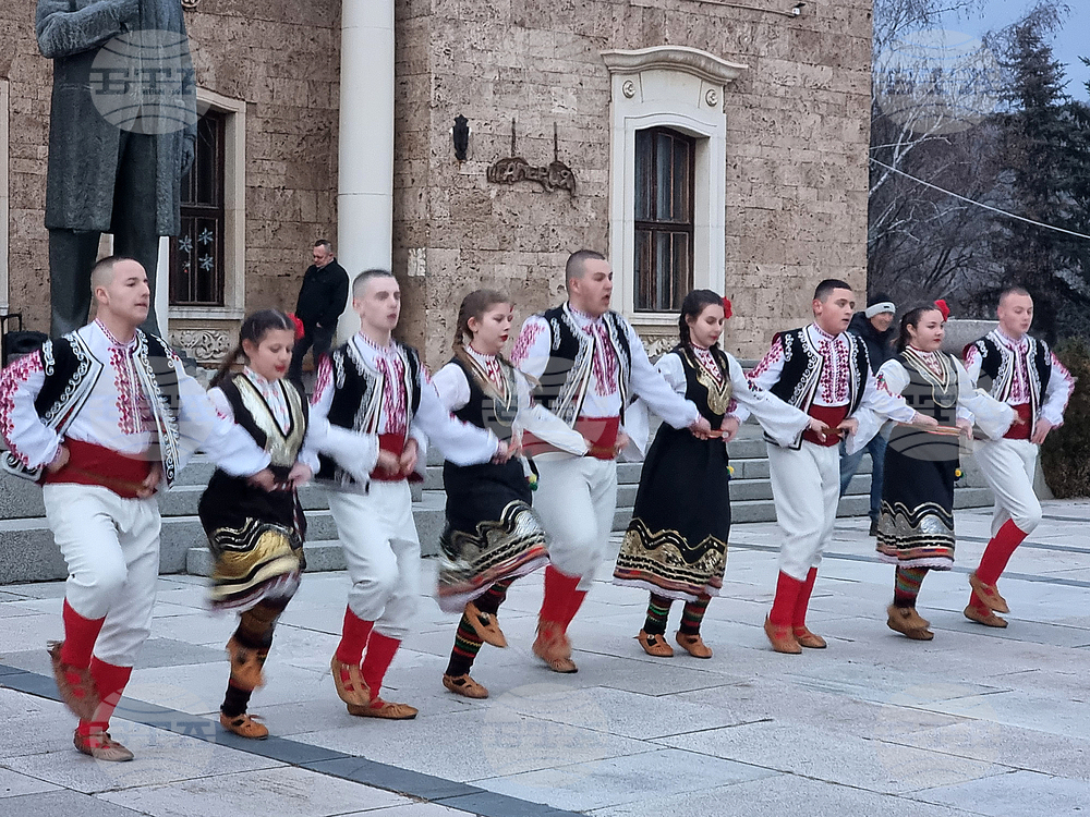 Село Ковачевци - коледна елха - светлини