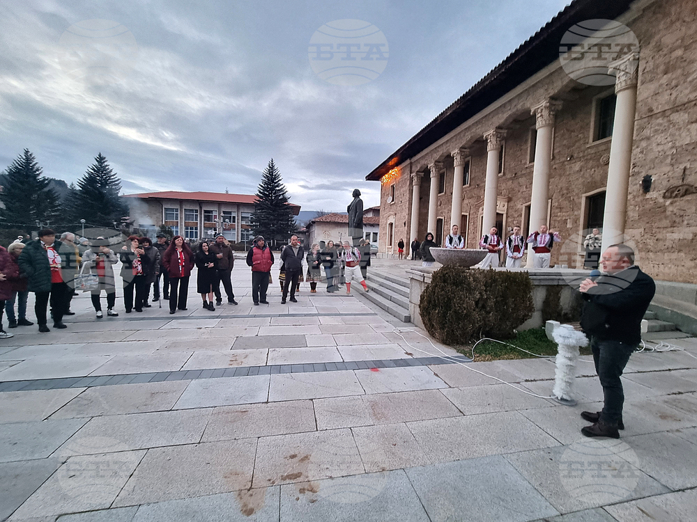 Село Ковачевци - коледна елха - светлини
