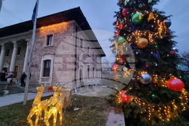 Село Ковачевци - коледна елха - светлини
