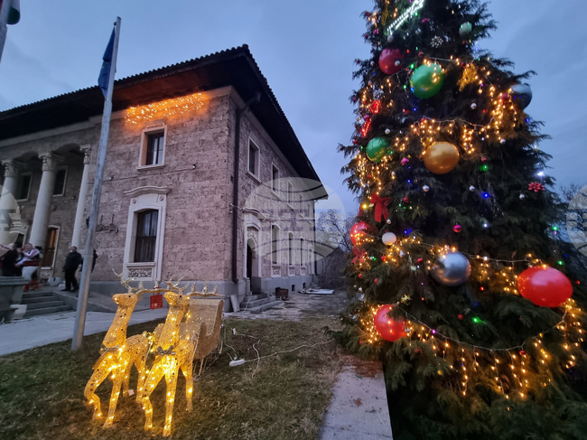 Село Ковачевци - коледна елха - светлини