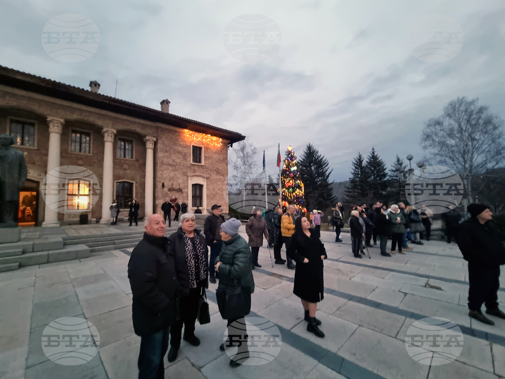 Село Ковачевци - коледна елха - светлини