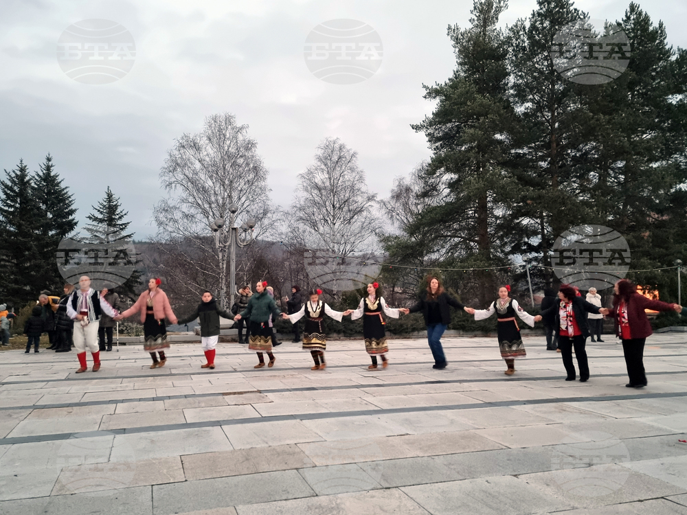 Село Ковачевци - коледна елха - светлини