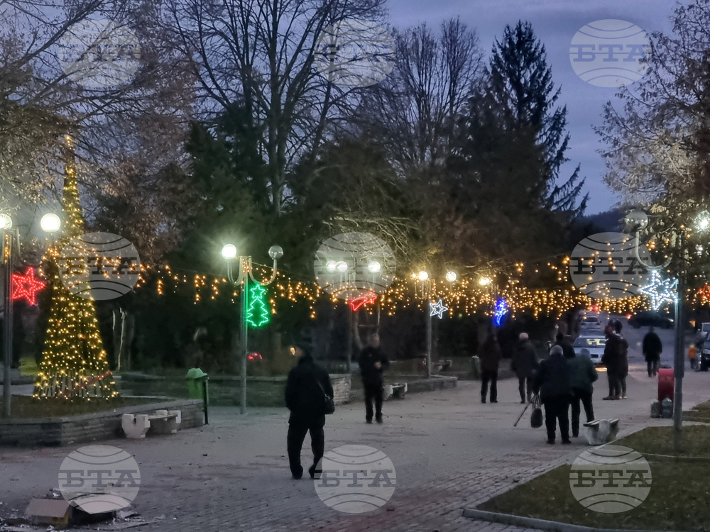 Село Ковачевци - коледна елха - светлини