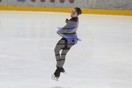 Фигурно пързаляне - държавно първенство