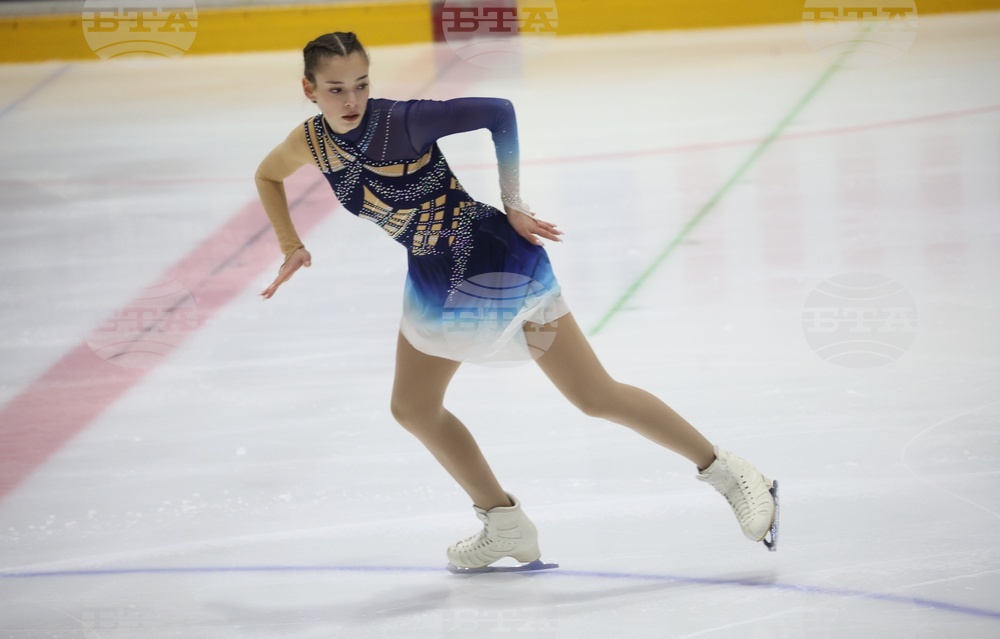 Фигурно пързаляне - държавно първенство