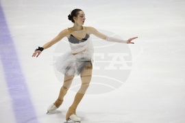 Фигурно пързаляне - държавно първенство