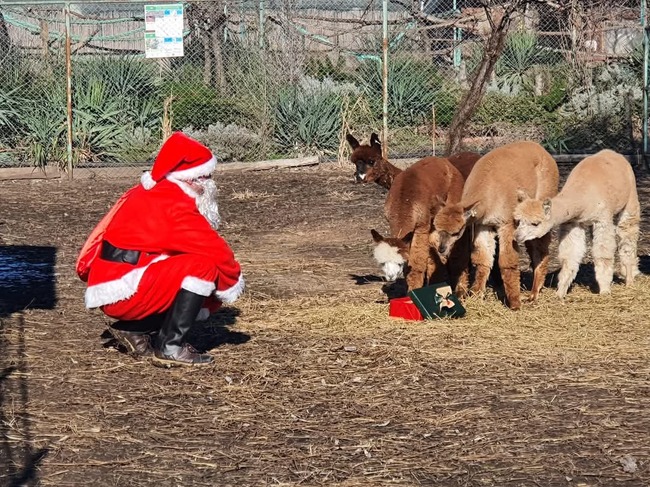 Животните в зоопарка в Бургас ще получат подаръци за Коледа