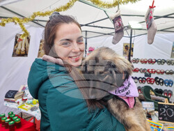 Кюстендил - Благотворителен базар - общински приют за кучета - Полина Чавдаров