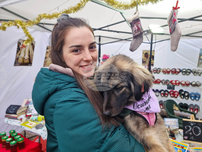 Кюстендил - Благотворителен базар - общински приют за кучета