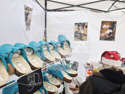 Кюстендил - Благотворителен базар - общински приют за кучета 