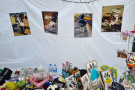 Кюстендил - Благотворителен базар - общински приют за кучета 