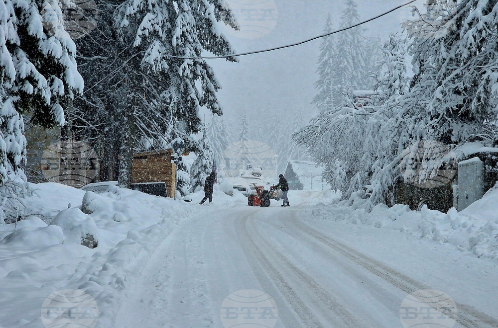 Пампорово - снежна обстановка
