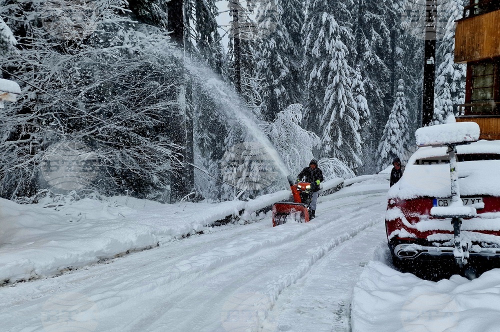 Пампорово - снежна обстановка