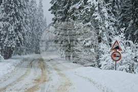 Пампорово - снежна обстановка