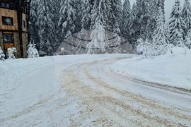 Пампорово - снежна обстановка