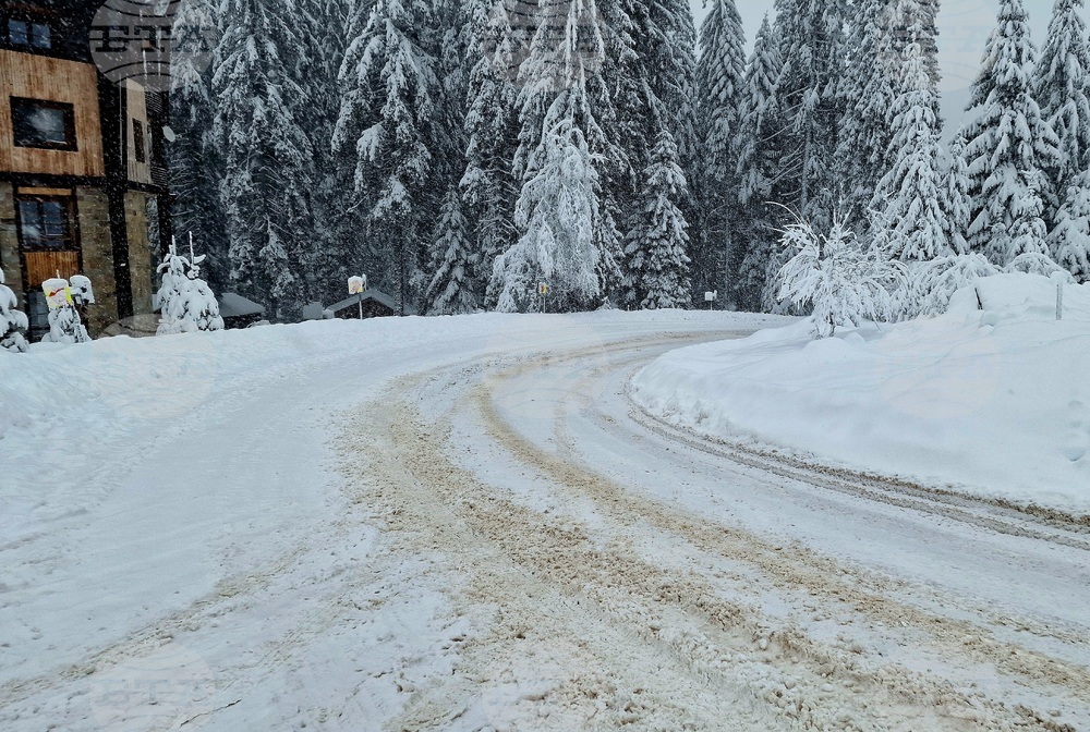 Пампорово - снежна обстановка