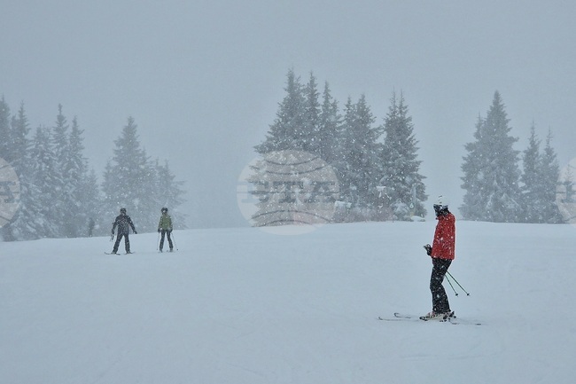 Румънските спасители отчетоха нов рекорд: 180 спасени в рамките на 24 часа