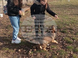 Снимка: ОУ "Иван С. Тургенев" – Разград