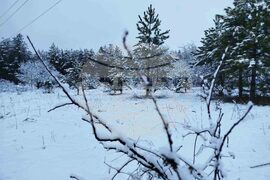 Разград - зима - обстановка