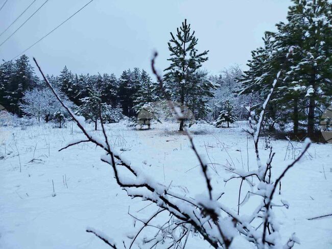 January Forecast: Temperatures to Range between Minus 20 and 15C