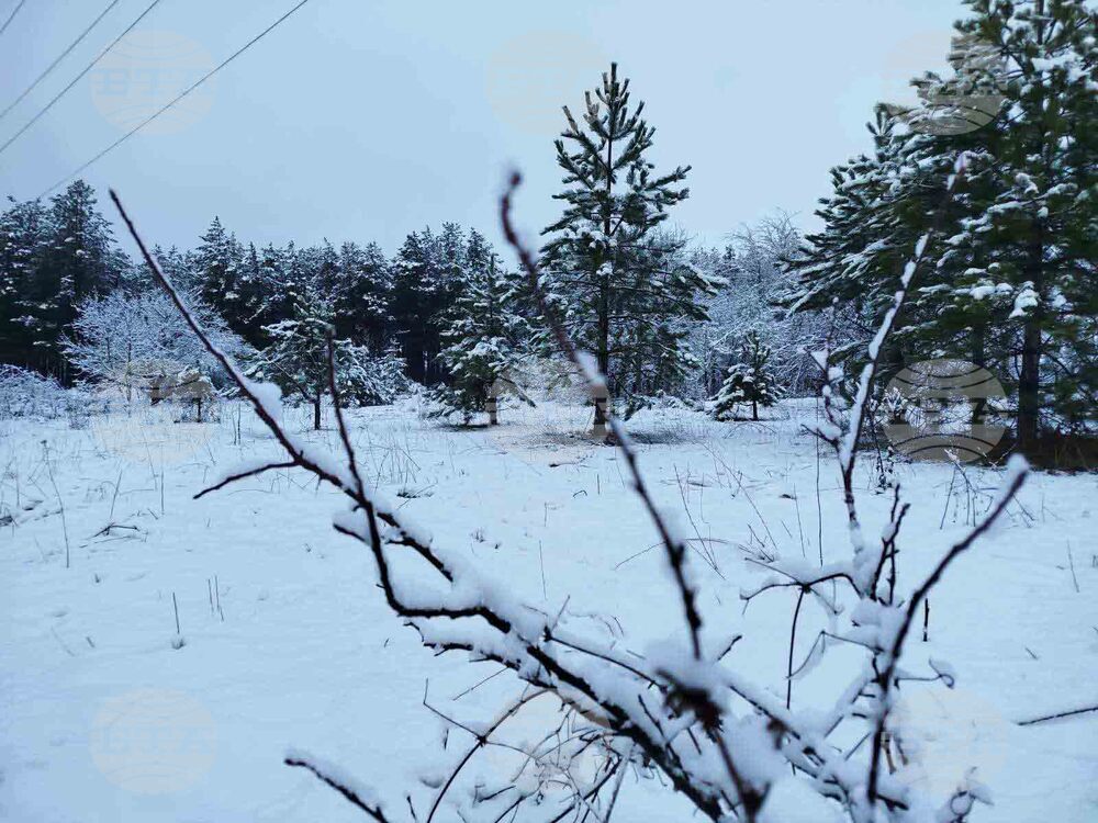 Разград - зима - обстановка