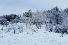 Разград - зима - обстановка