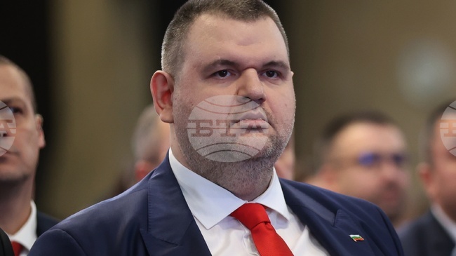 MRF Leader Peevksi Calls for Closure of Public Enterprises and Control Agency