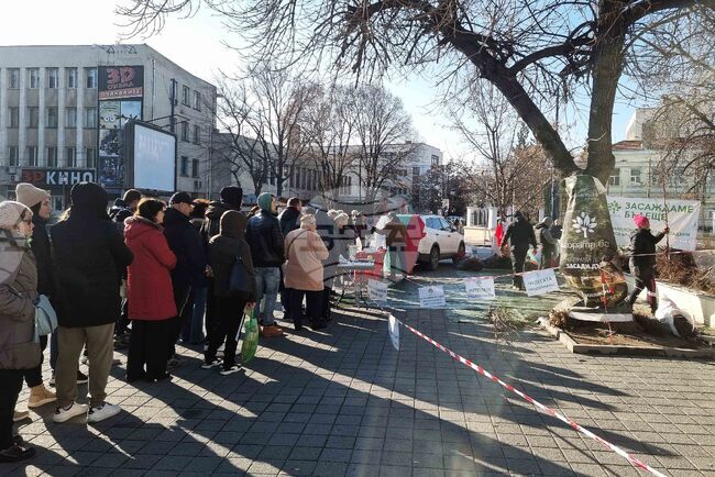 Стотици жители на Пазарджик получиха безплатно фиданки за засаждане от доброволците на Гората.бг